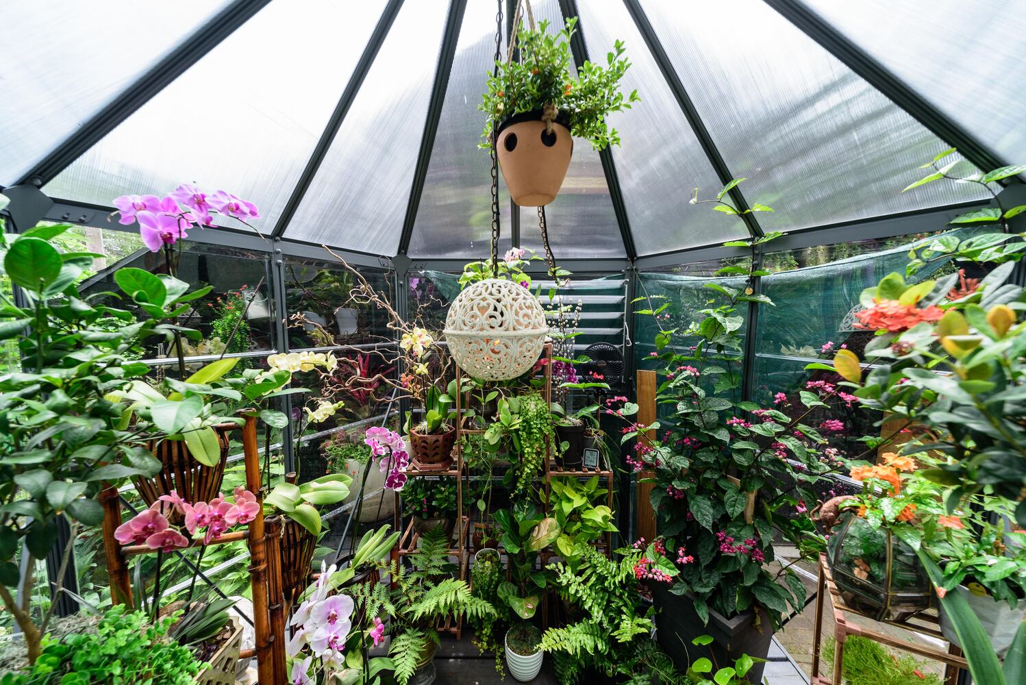 PHOTOS: 2024 St. Anne's Hill Historic District Garden Tour