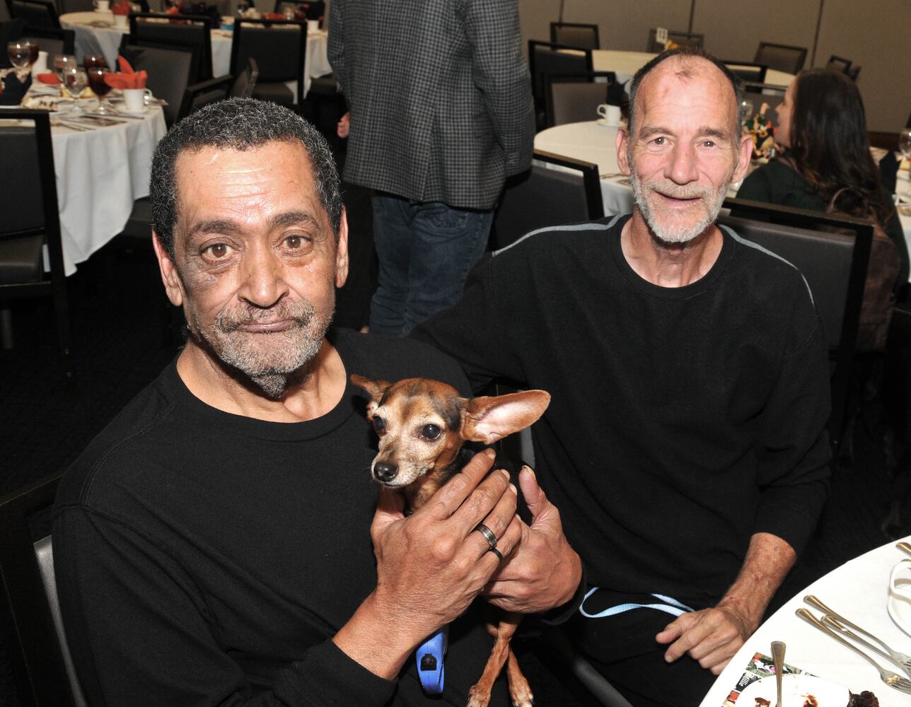 Did we spot you at Dogs on the Catwalk?