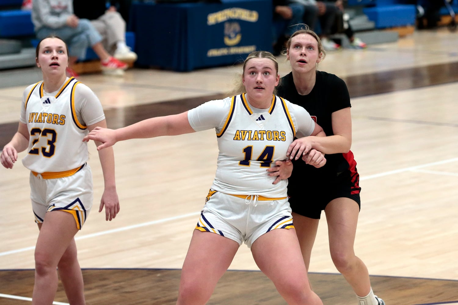 Tippecanoe Butler basketball