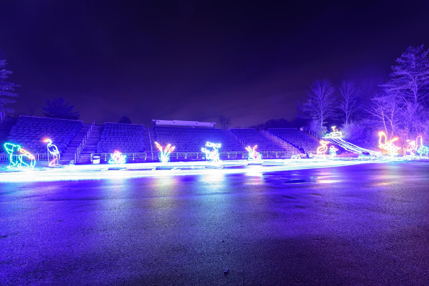 PHOTOS: ParkLights 2024 at Caesar Ford Park