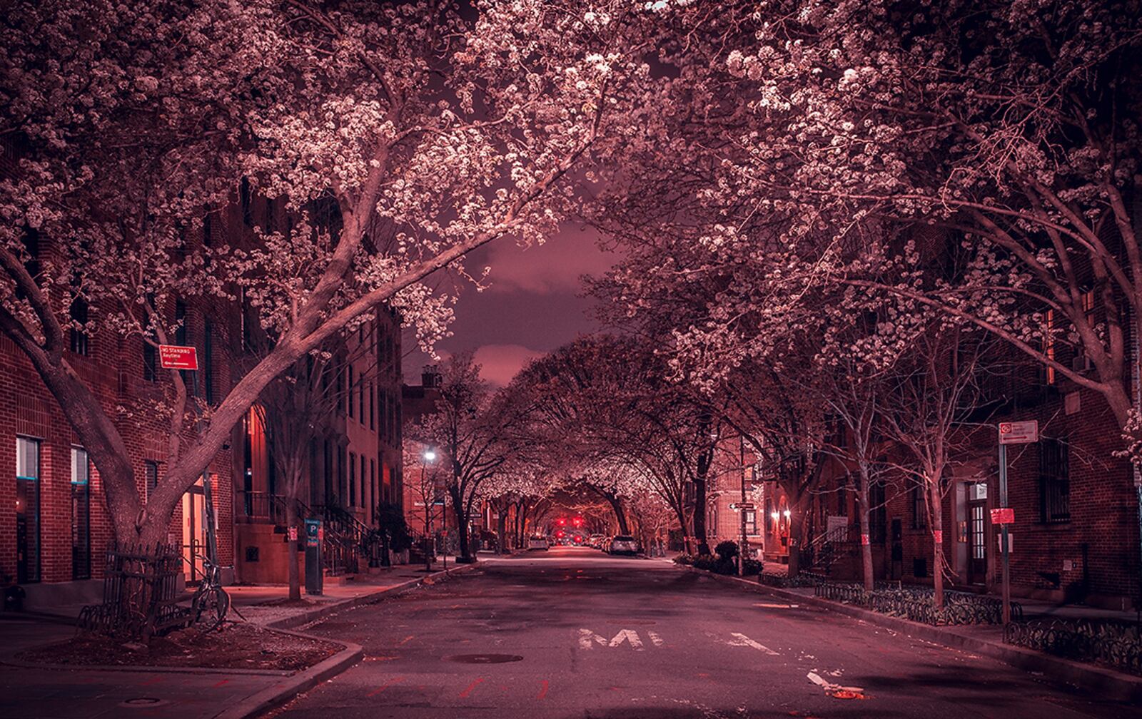 Logan Hicks, Cherry Blossoms, 2020 photograph is on exhibit at the Clifton Cultural Arts Center in Cincinnati. COURTESY OF LOGAN HICKS, CLIFTON CULTURAL ARTS CENTER.