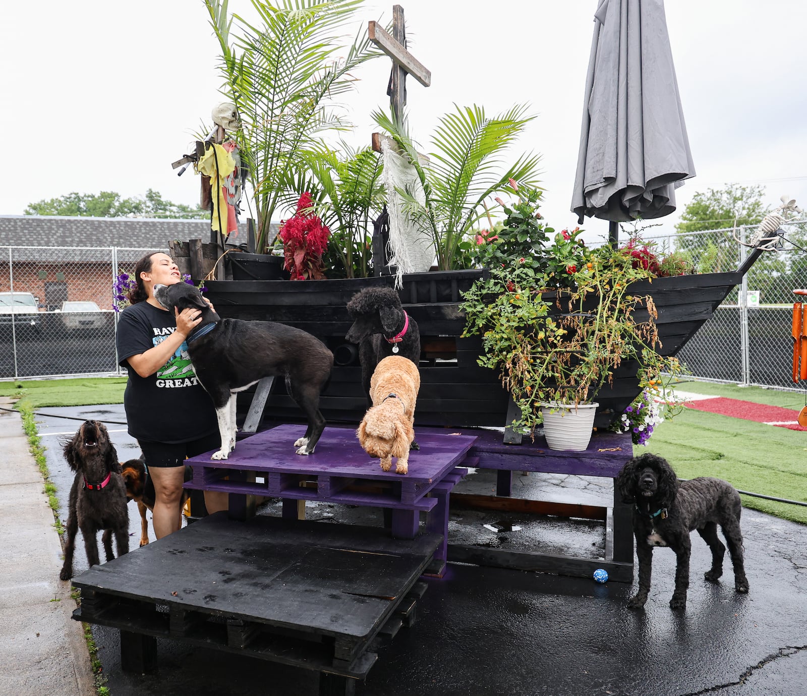 Maria Ochs pets a dog at Frey's Place on Wednesday, July 16. The dog daycare recently relocated to Moraine. BRYANT BILLING / STAFF