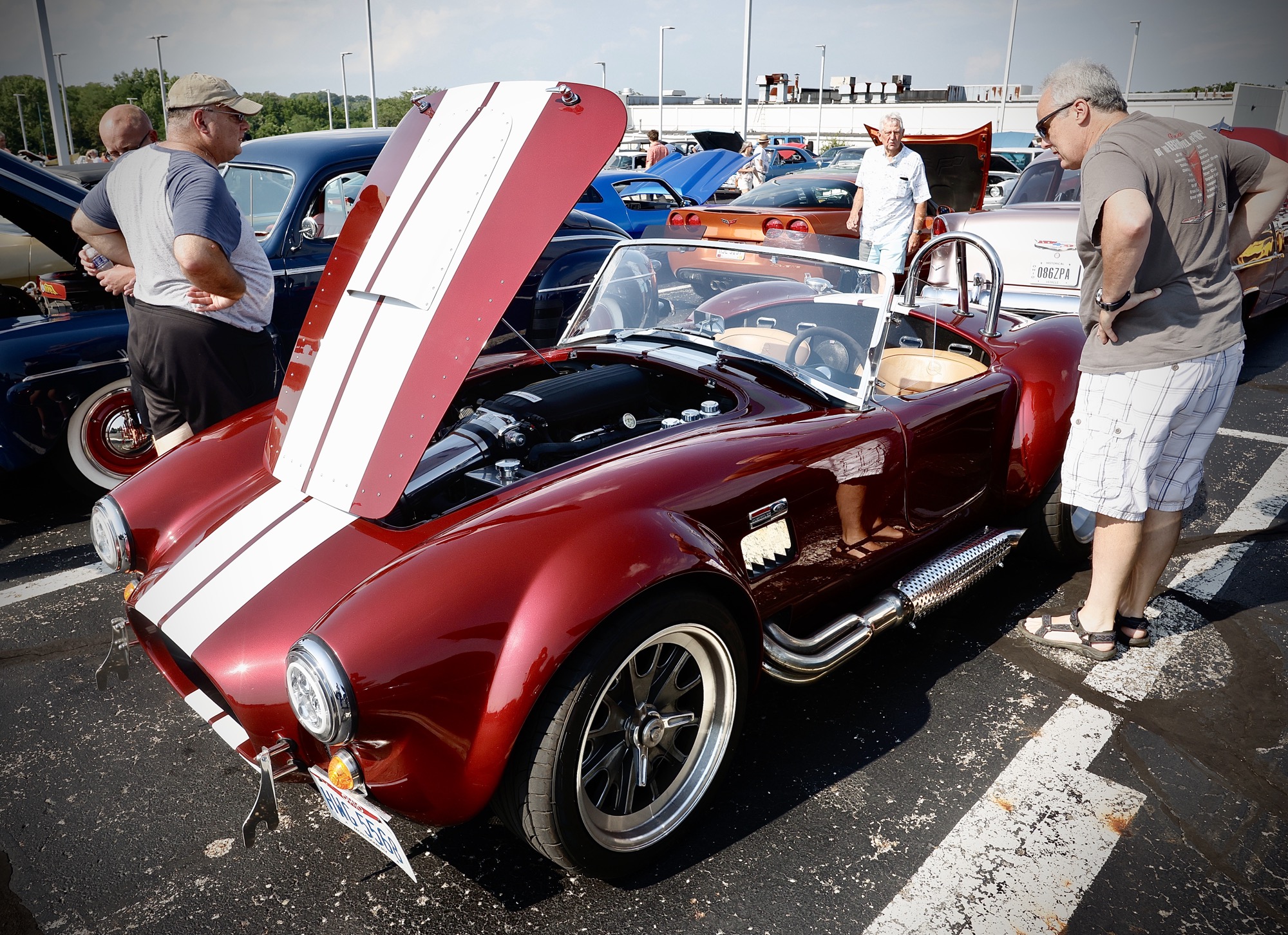 Cruise in