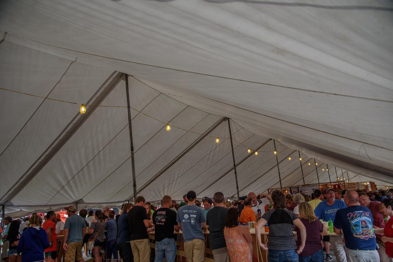 PHOTOS: 2018 Versailles Poultry Days