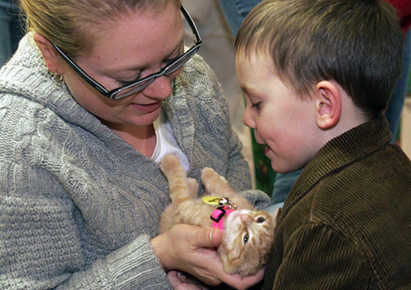 Meowza Cat Boutique at the Dayton Mall