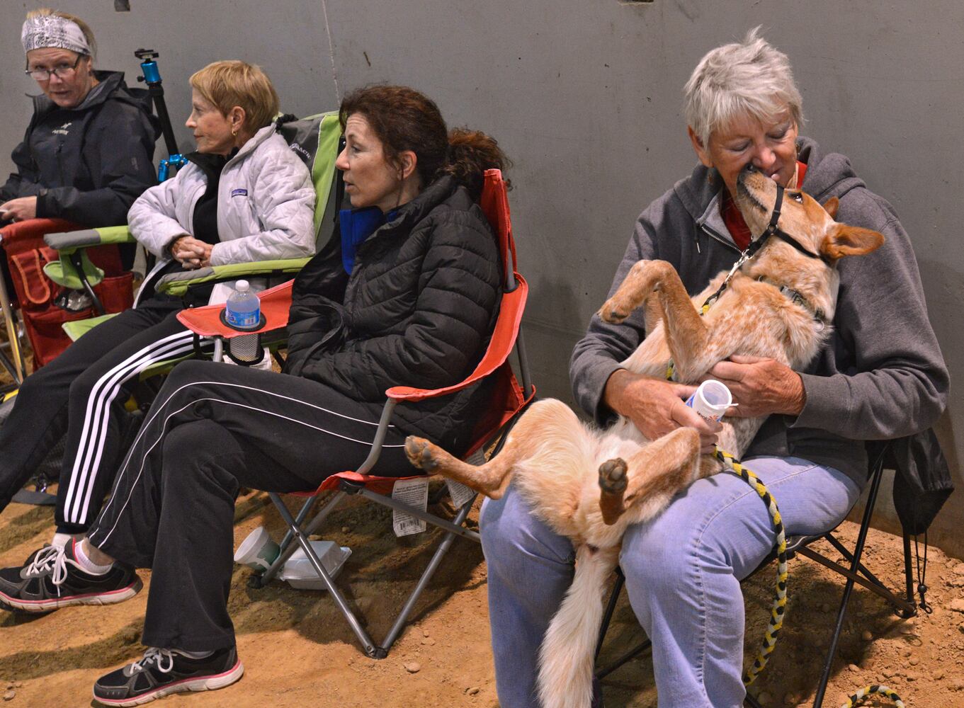 News hounds (3/13/2014)