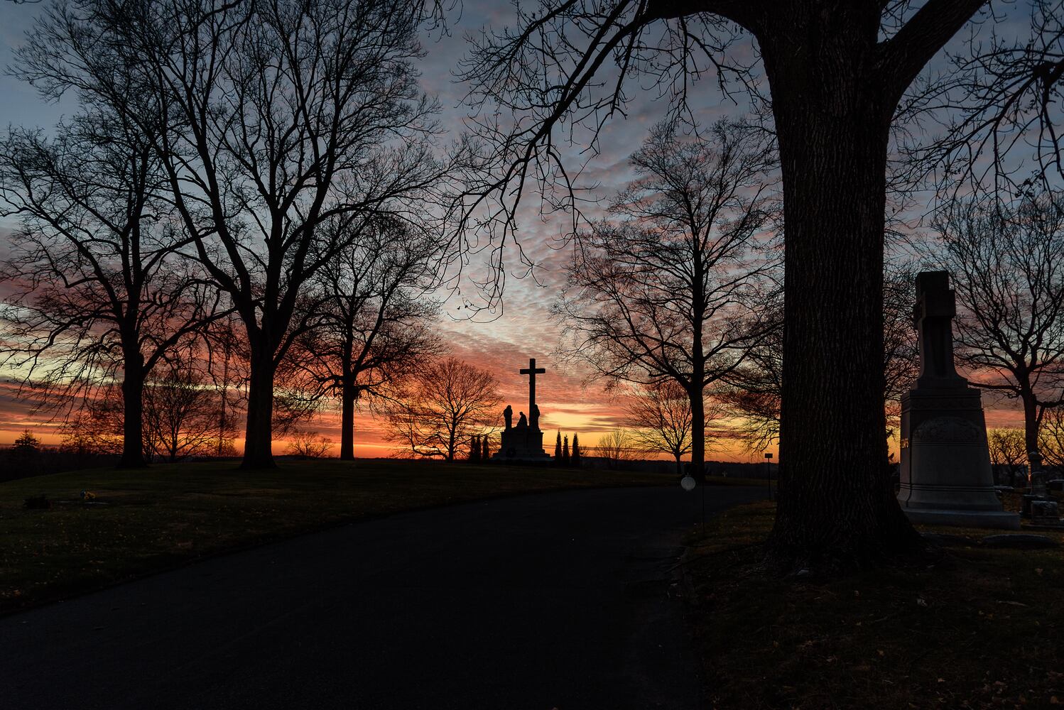 PHOTOS: Angel Night at Calvary Cemetery