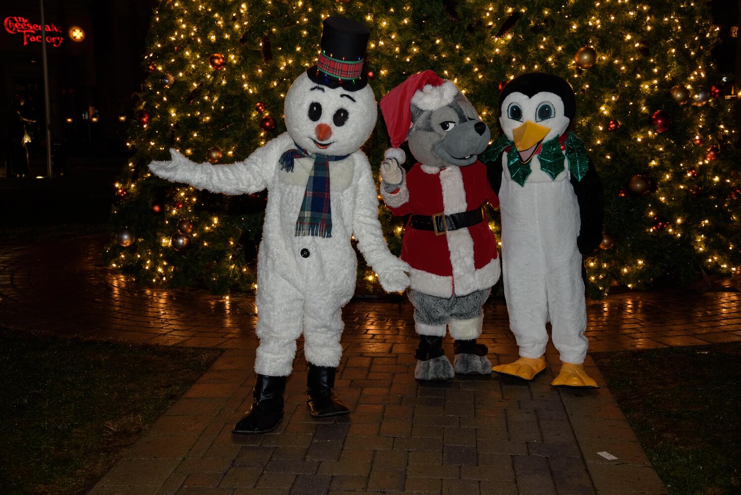 PHOTOS: Did we spot you at The Greene’s Christmas tree lighting?