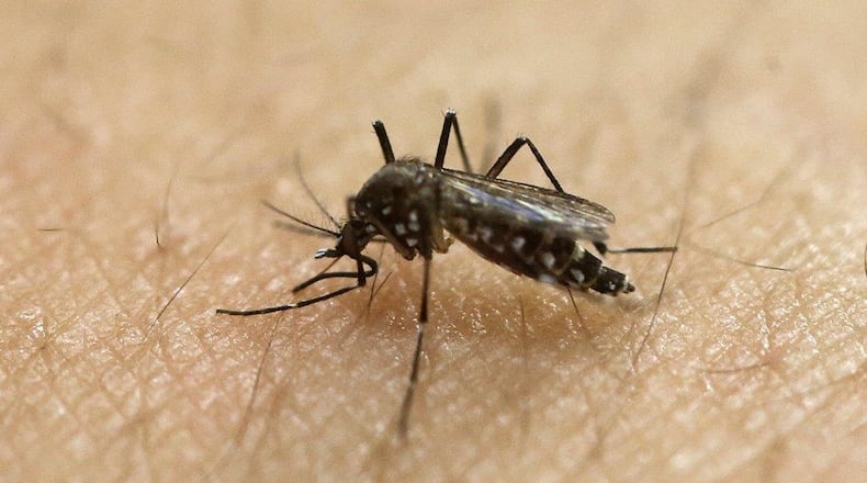 Mosquito season is back!