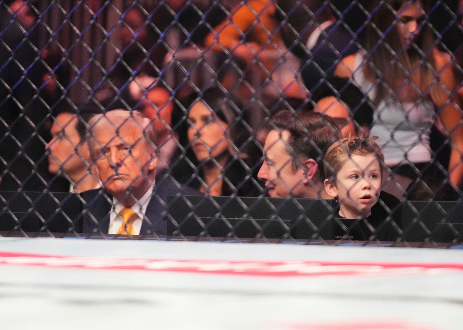 President Donald Trump, from left, Elon Musk, his son X Æ A-Xii, and from background left, Secretary of State Marco Rubio and Director of National Intelligence Tulsi Gabbard attend a mixed martial arts fight at UFC 314, Saturday, April 12, 2025, in Miami. (AP Photo/Lynne Sladky)
