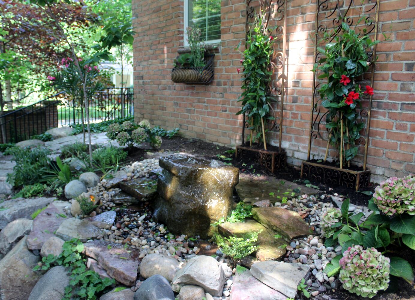 Josh Stucky's secret garden