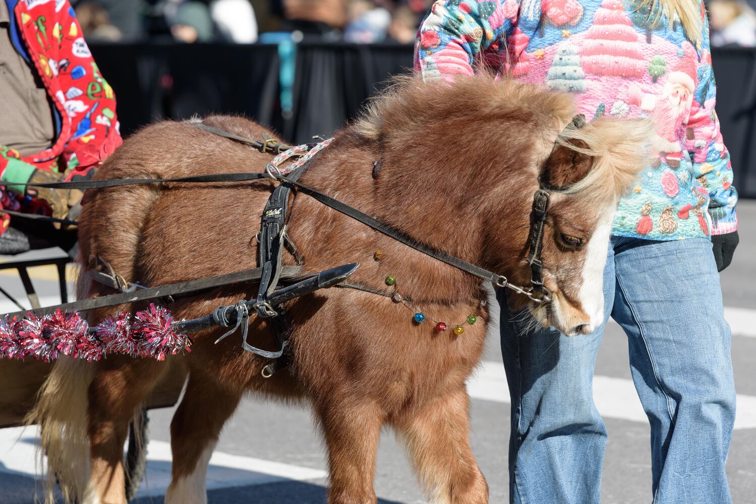 PHOTOS: 35th annual Lebanon Horse-Drawn Carriage Parade & Festival