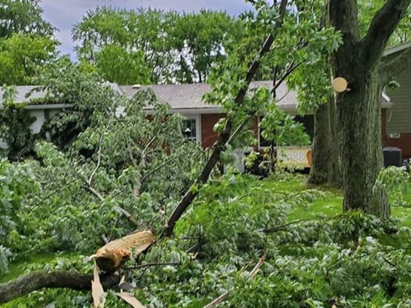 Piqua storm damage