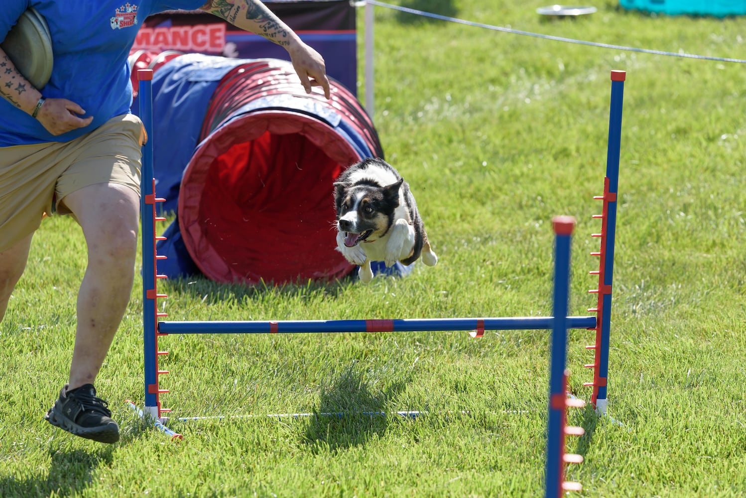 PHOTOS: 2025 Furry Skurry 5K at St. Leonard CHI Living Communities