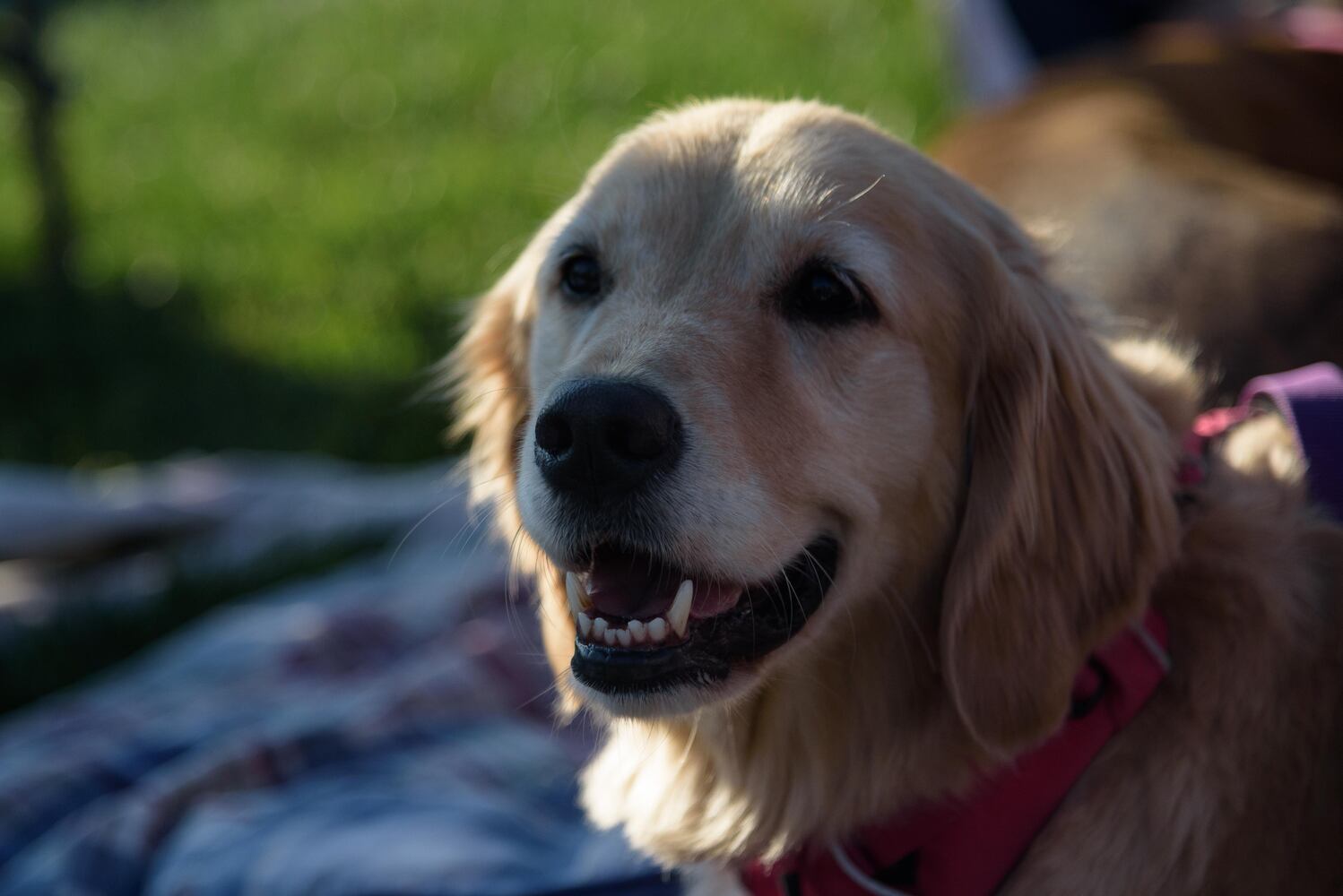 PHOTOS: Did we spot you at the First Friday Food Truck Frenzy at Austin Landing?