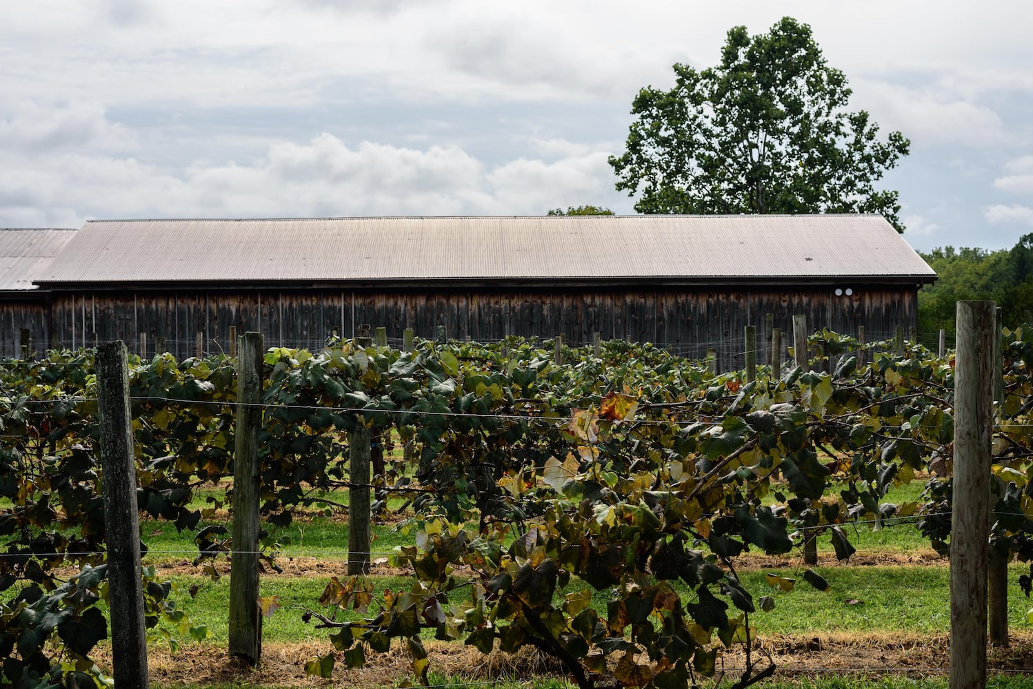 Hidden Valley Orchards