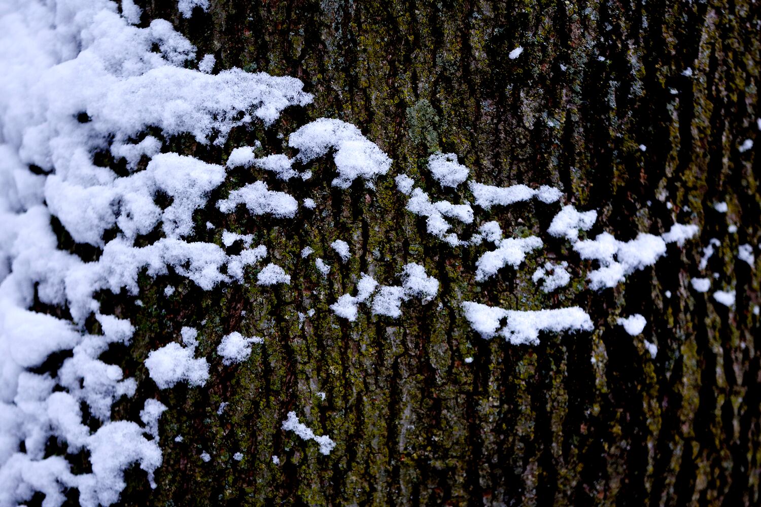 Snowy details and patterns