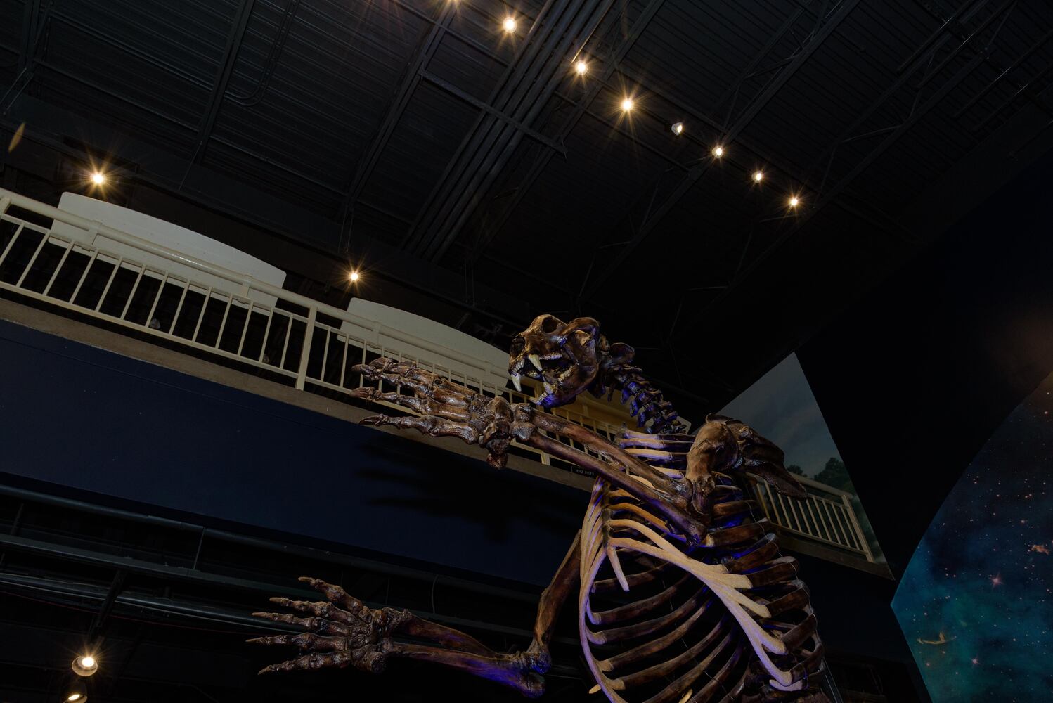 PHOTOS: Did we spot you at Eco Bash: Dayton's Dinosaur at the Boonshoft Museum of Discovery?