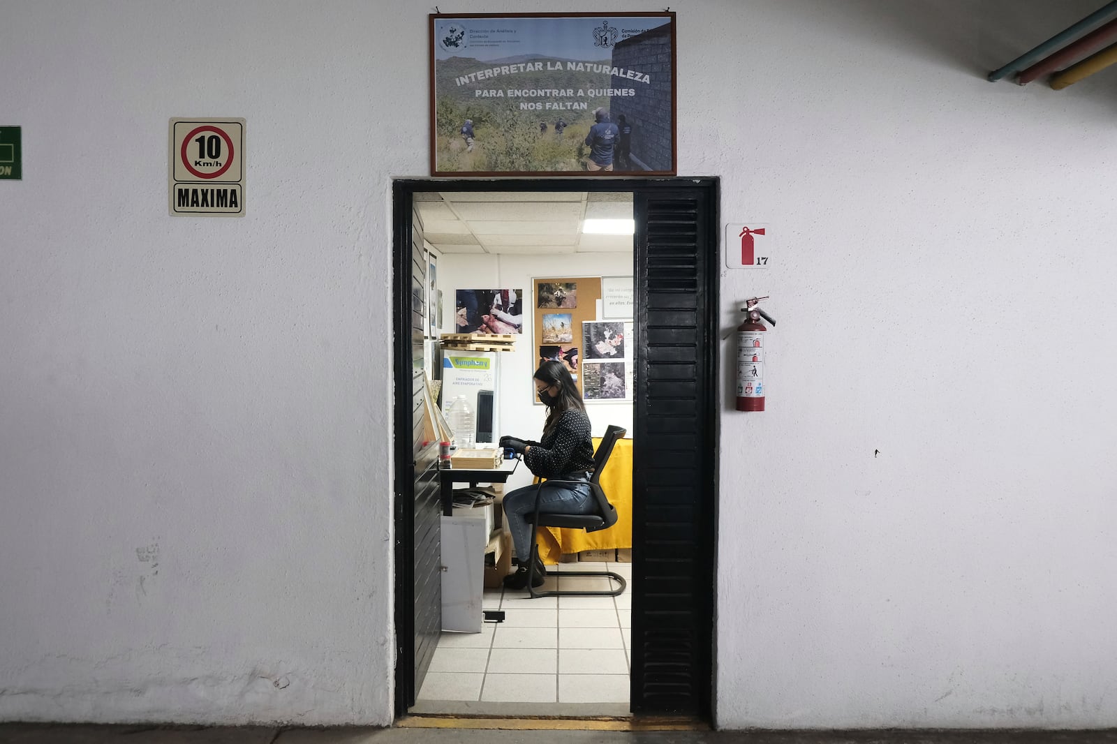 A specialist examines insects collected from clandestine graves in Jalisco, which are currently being studied as part of a research project to help find people who have gone missing in Mexico during decades of drug cartel violence, in Guadalajara, Mexico, Friday, July 11, 2025. (AP Photo/Alejandra Leyva)