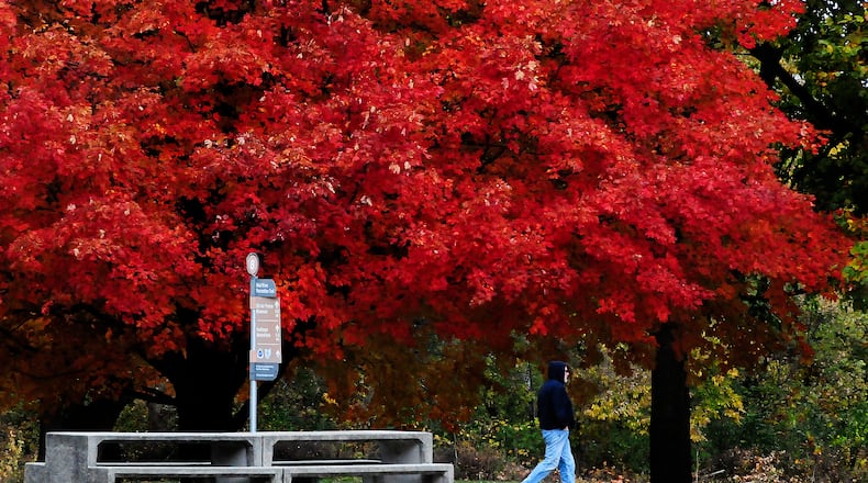 The beautiful fall color at Eastwood Metropark in Riverside Tuesday Oct. 18, 2022. MARSHALL GORBY\STAFF