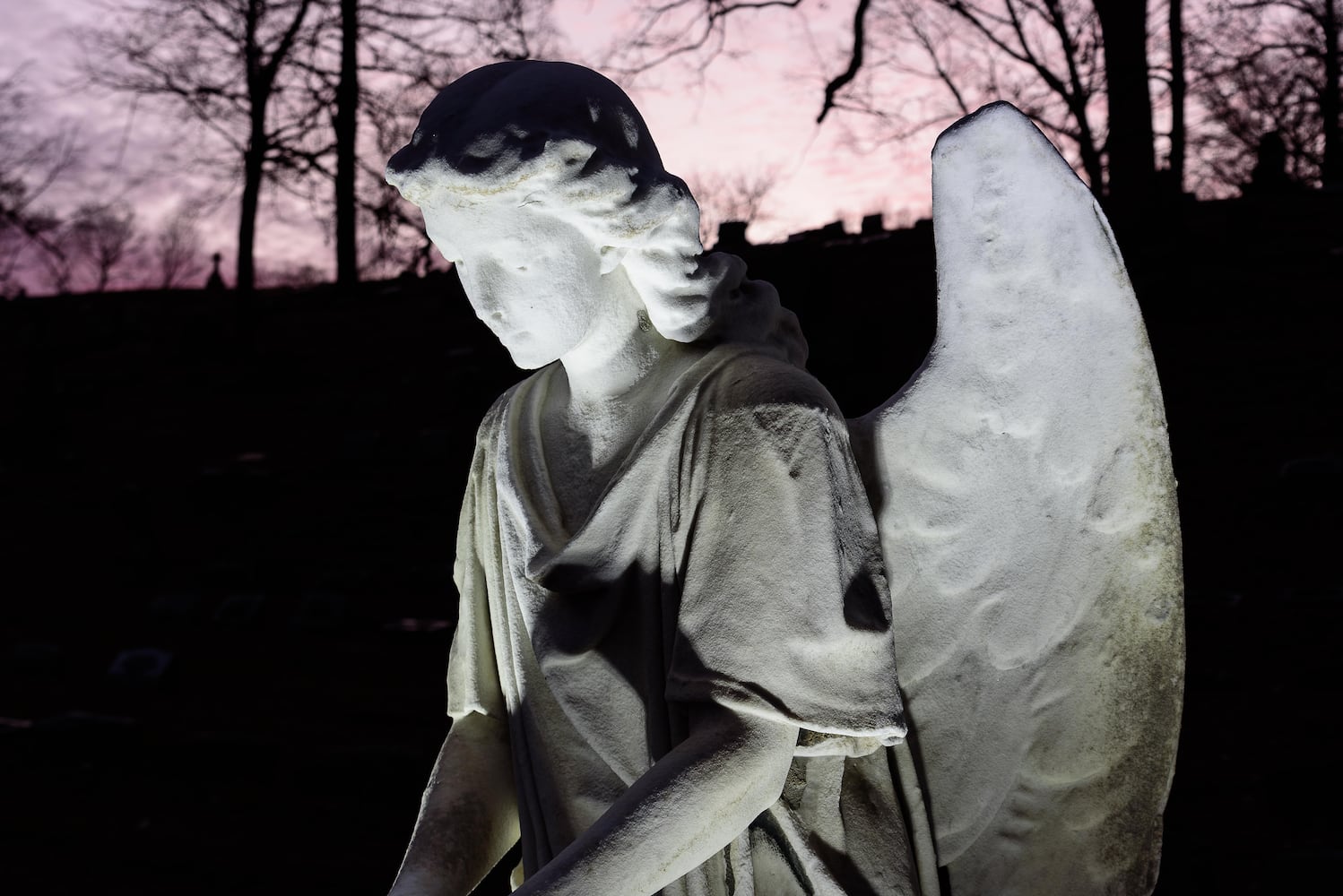 PHOTOS: Angel Night at Calvary Cemetery