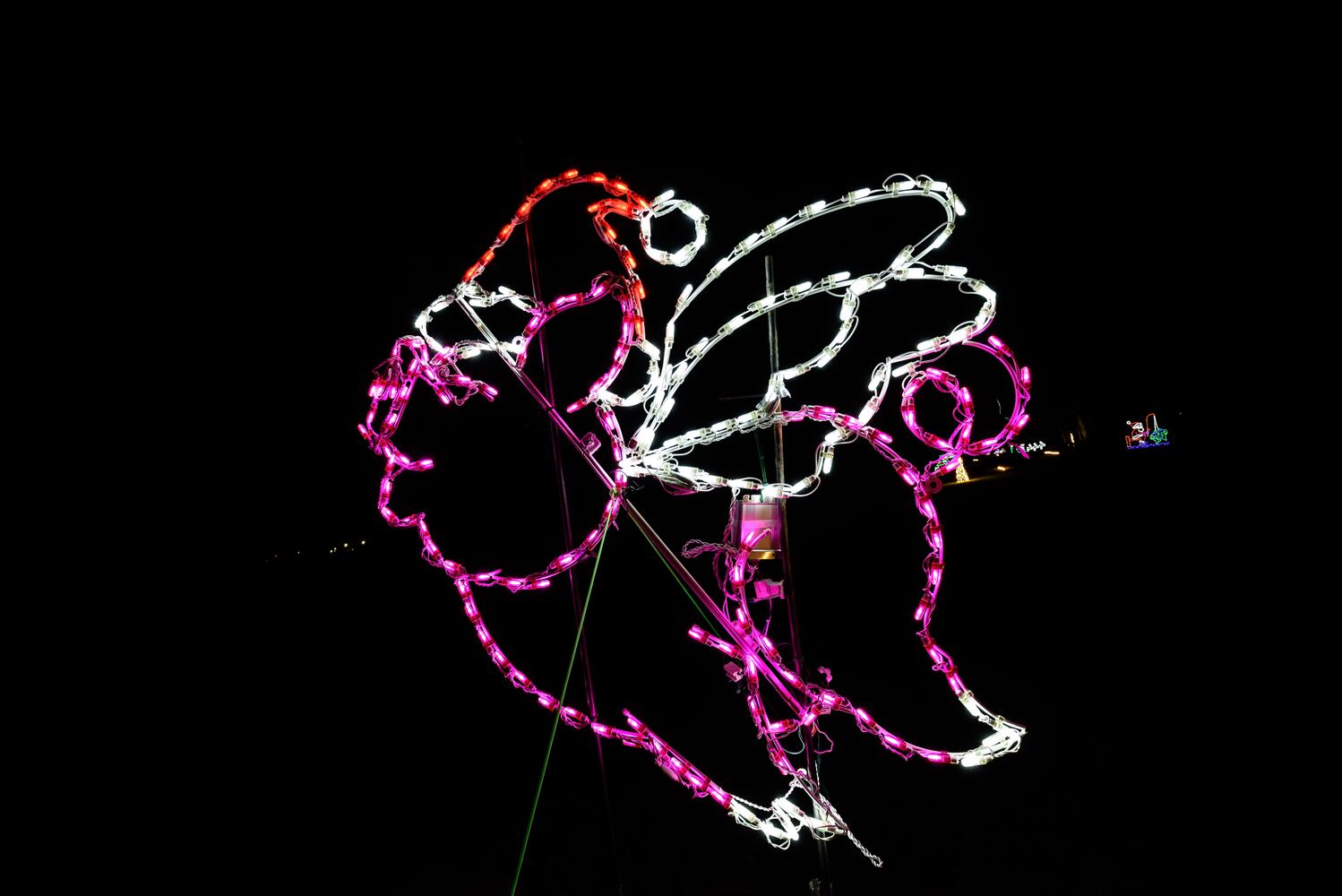 PHOTOS: Holiday Lights dazzle at Lost Creek Reserve in Troy