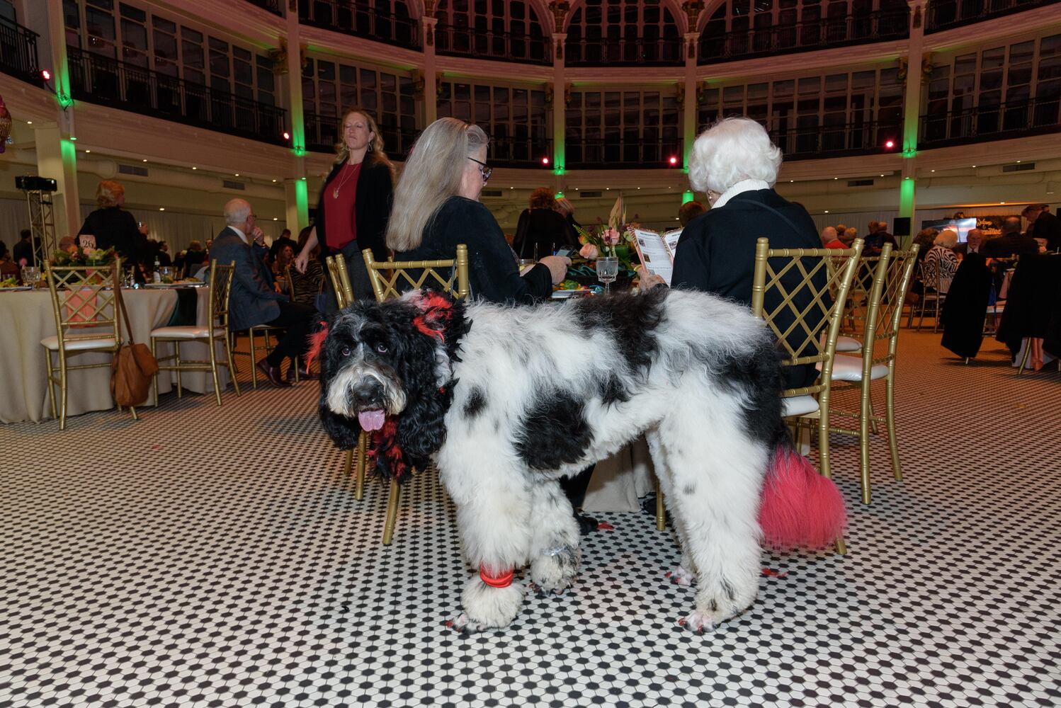PHOTOS: Did we spot you at the Pet Afflaire Gala at the Dayton Arcade?