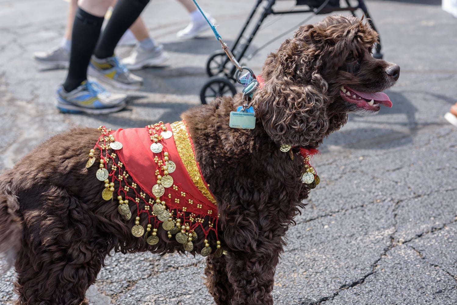 PHOTOS: Did we spot you at the 29th Annual Greater Dayton Lebanese Festival?