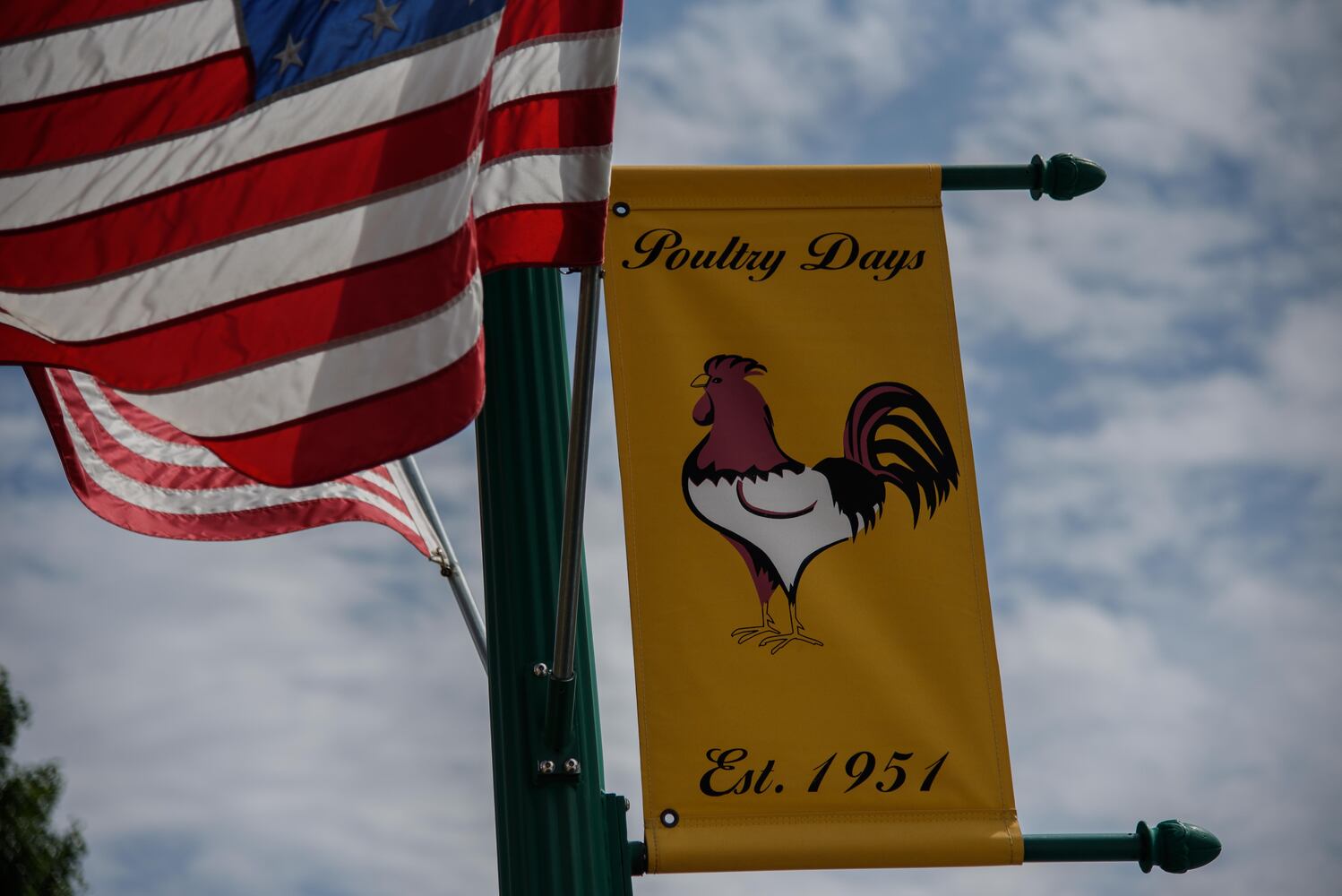 PHOTOS: 2018 Versailles Poultry Days