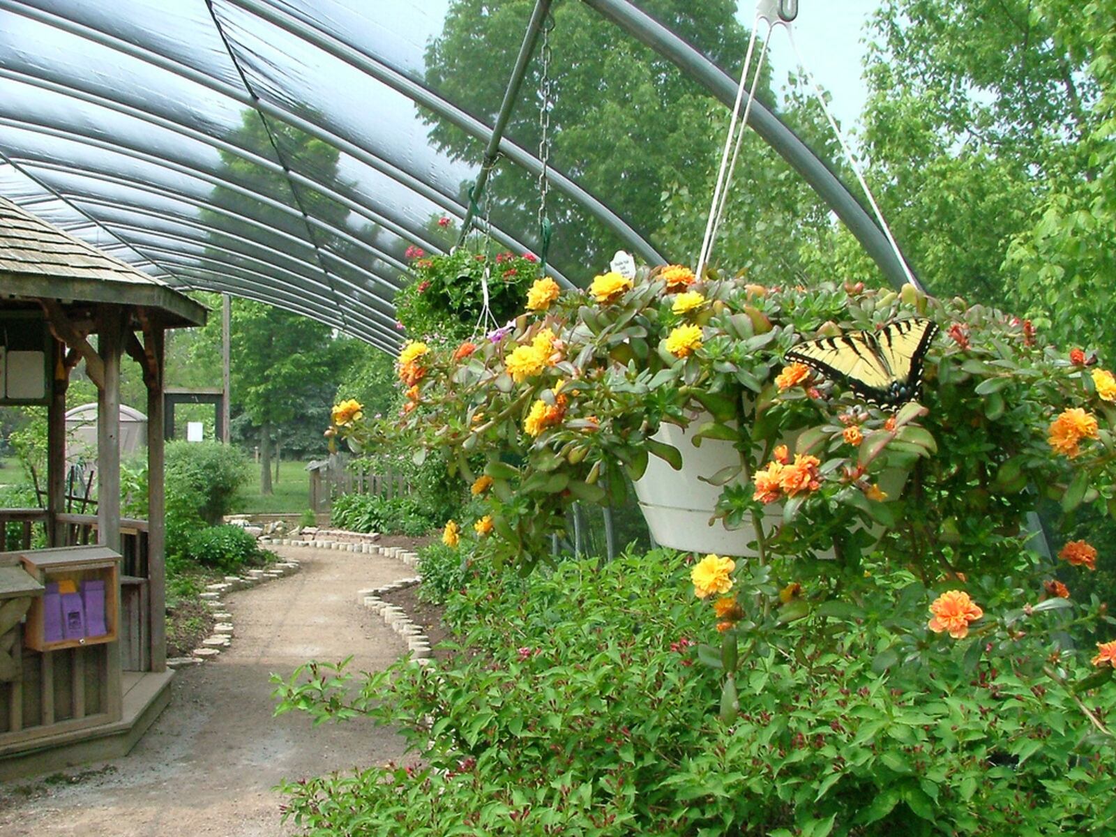 Inside the Butterfly House at Cox Arboretum Metropark on Springboro Pike. CONTRIBUTED