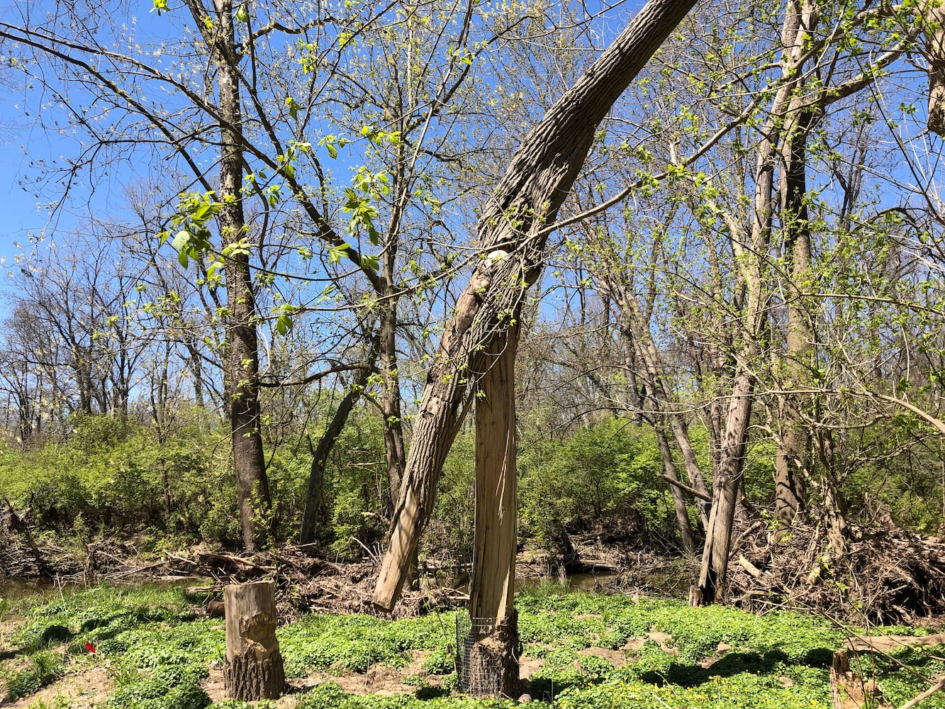 Wesleyan MetroPark