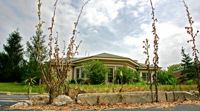 Weeds pictured Wednesday, August 3, 2011 begin to poke out of cracks on the parking lot of the former Der Dutchman restaurant in Waynesville, Ohio. Neighbors of the restaurant that burned last October are complaining that the site has become overrun with weeds, is dilapidated and is being used as a makeshift truck stop. (Staff photo)