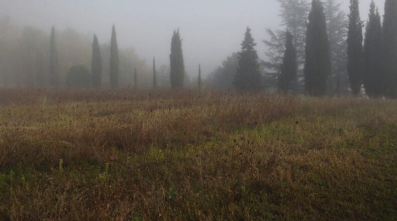 Foggy conditions require drivers to use even more caution and attention to the roads. Metro News Service photo