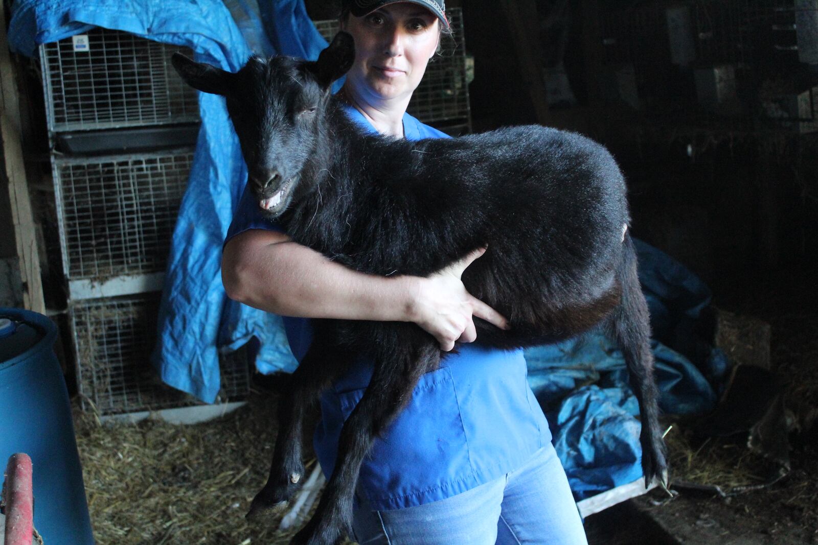 Humane agents seized 43 farm animals in July 2022 found malnourished and living in deplorable conditions on a Germantown property.
