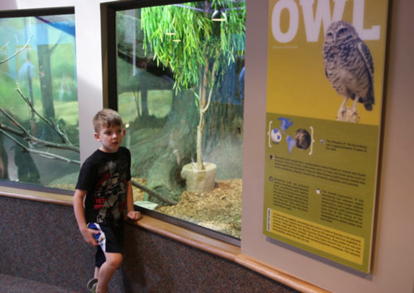 Boonshoft's Discovery Zoo opens