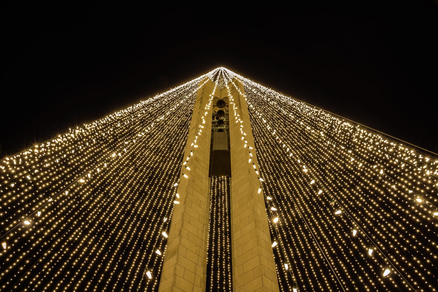 PHOTOS: Did we spot you at Carillon Park’s Tree of Light?