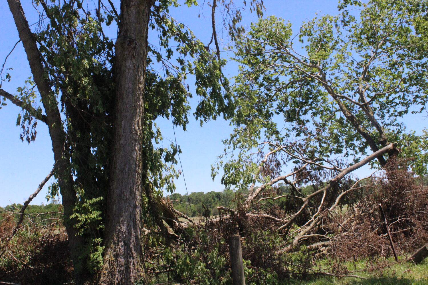Photos: ‘extraordinary’ damage to parts of  Wegerzyn MetroPark, some parts mostly untouched