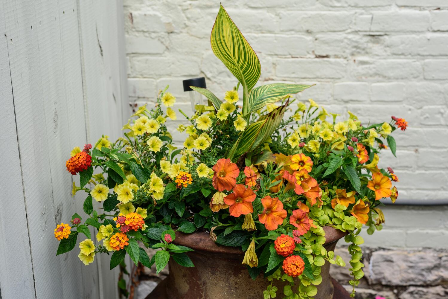 PHOTOS: 2024 St. Anne's Hill Historic District Garden Tour