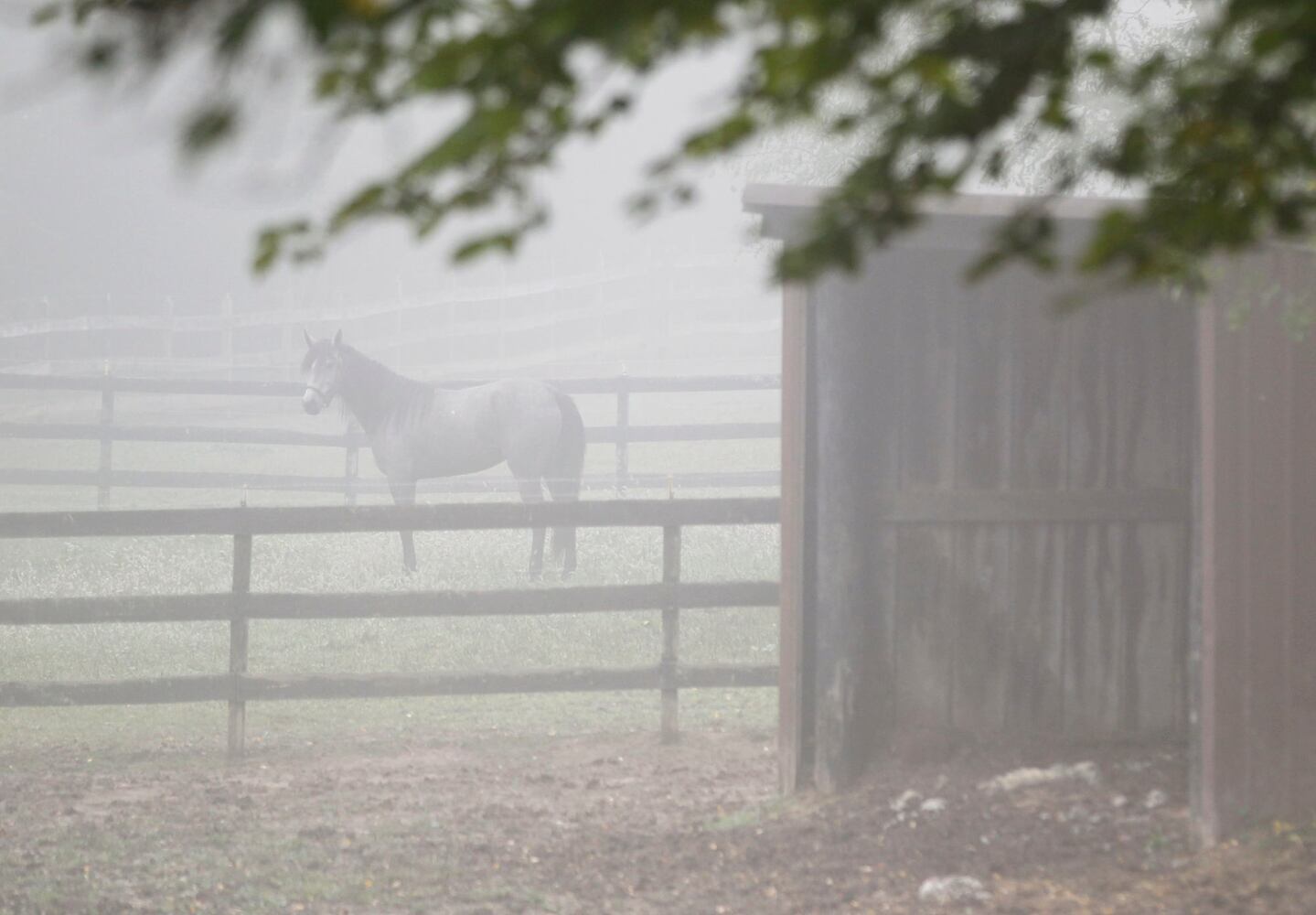 PHOTOS: See the dense fog that covered the Miami Valley on Tuesday