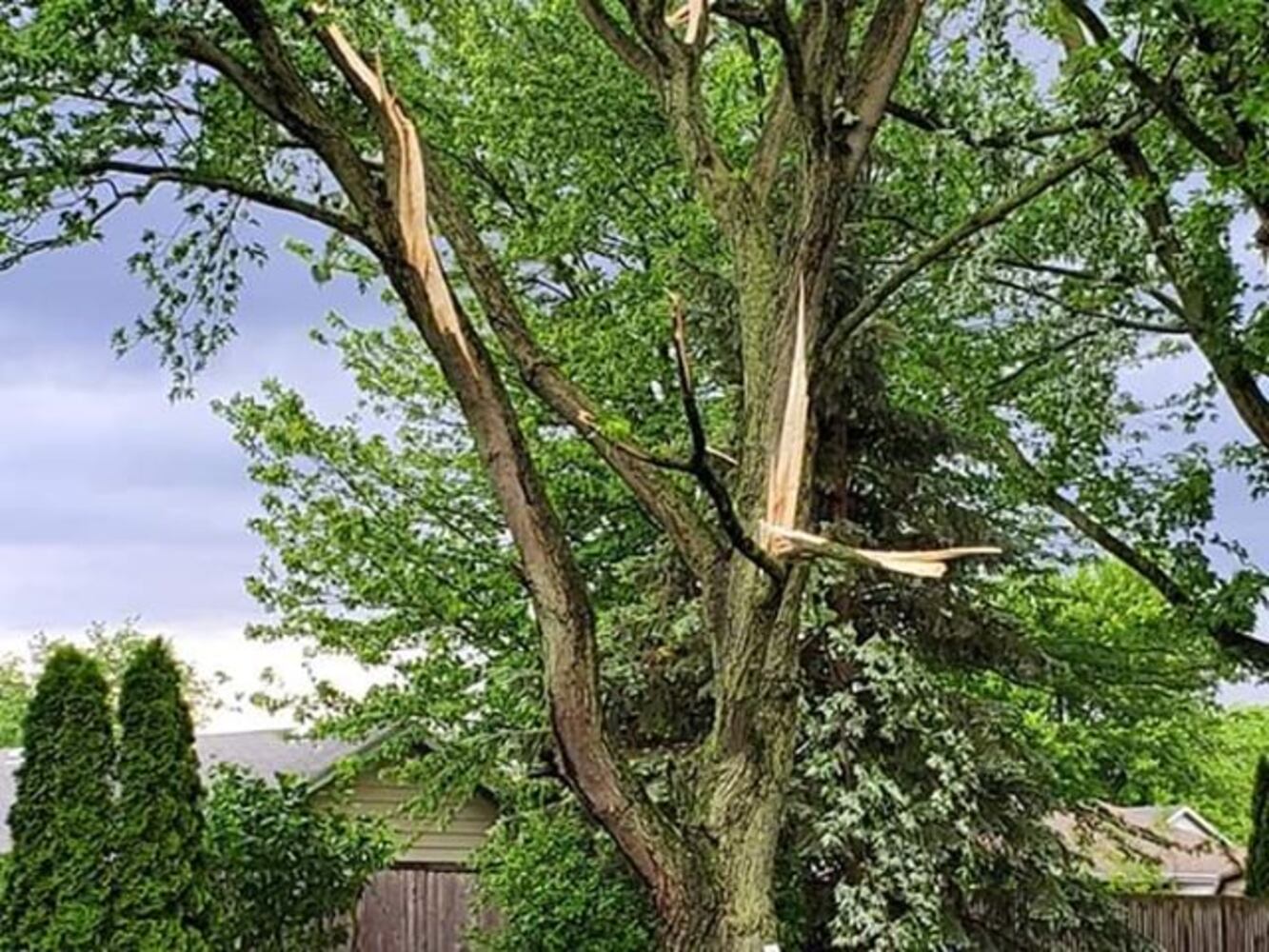 Piqua storm damage
