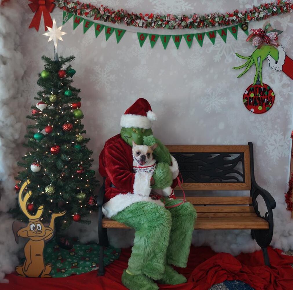 Your heart will grow three sizes when you see these hilarious Dayton family photos with the GRINCH