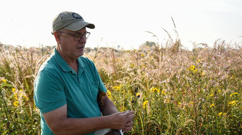Dave Nolin, retired director of Five Rivers MetroParks, collects seeds in Huffman Prairie, Wright-Patterson Air Force Base, Ohio, Sept. 15, 2022. Huffman Prairie is the largest prairie in Ohio and its 109 acres are home to more than 300 species of wildflowers. (U.S. Air Force photo by Matthew Clouse)