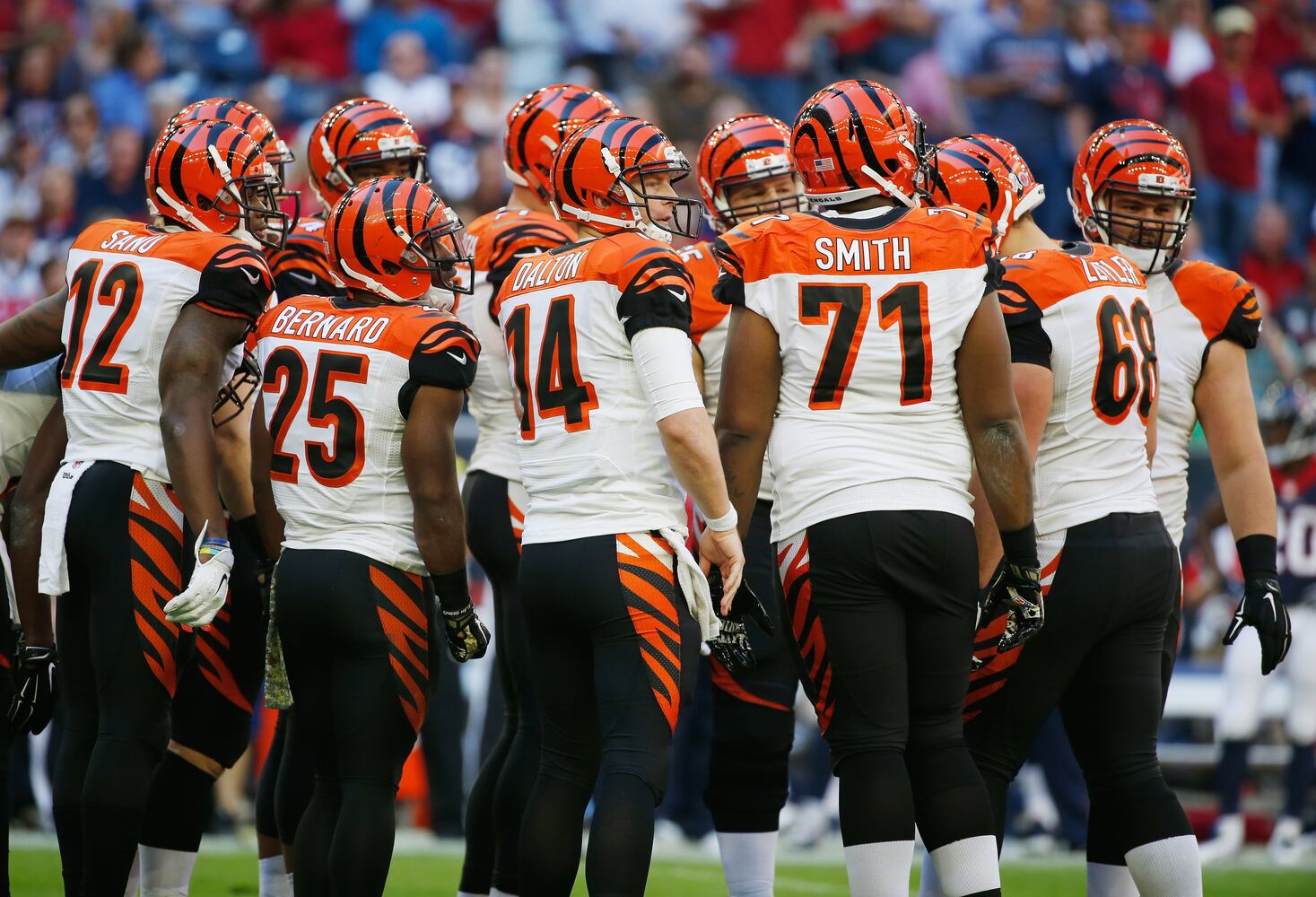 Bengals vs. Texans: Nov. 23, 2014