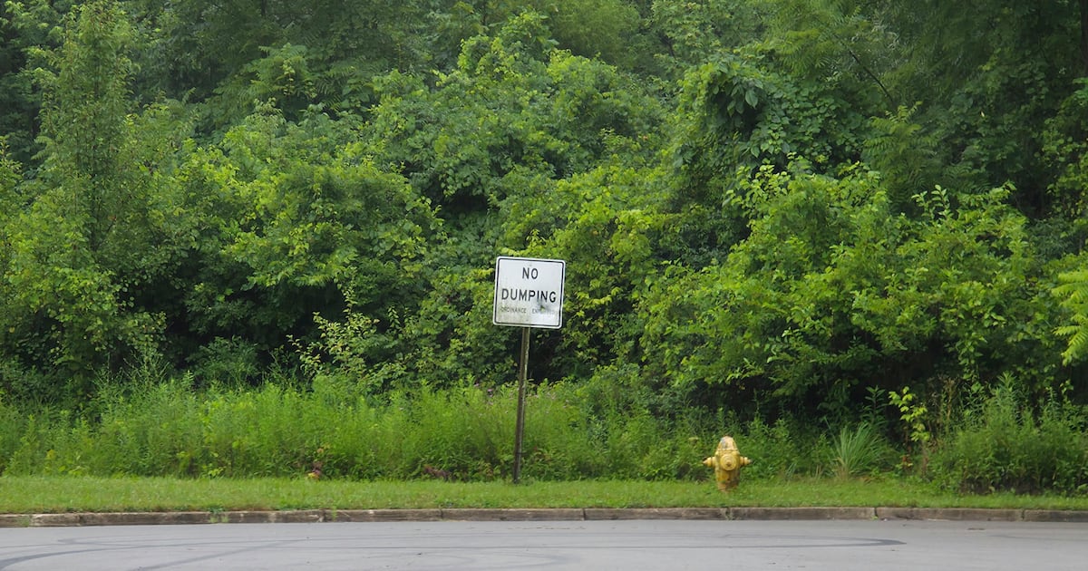 Developer plans 72-home development on Vandalia site near Dayton Int’l Airport