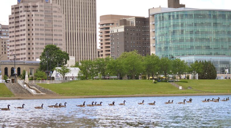 Geese roam along the Great Miami River with the Dayton skyline in the background. STAFF FILE PHOTO