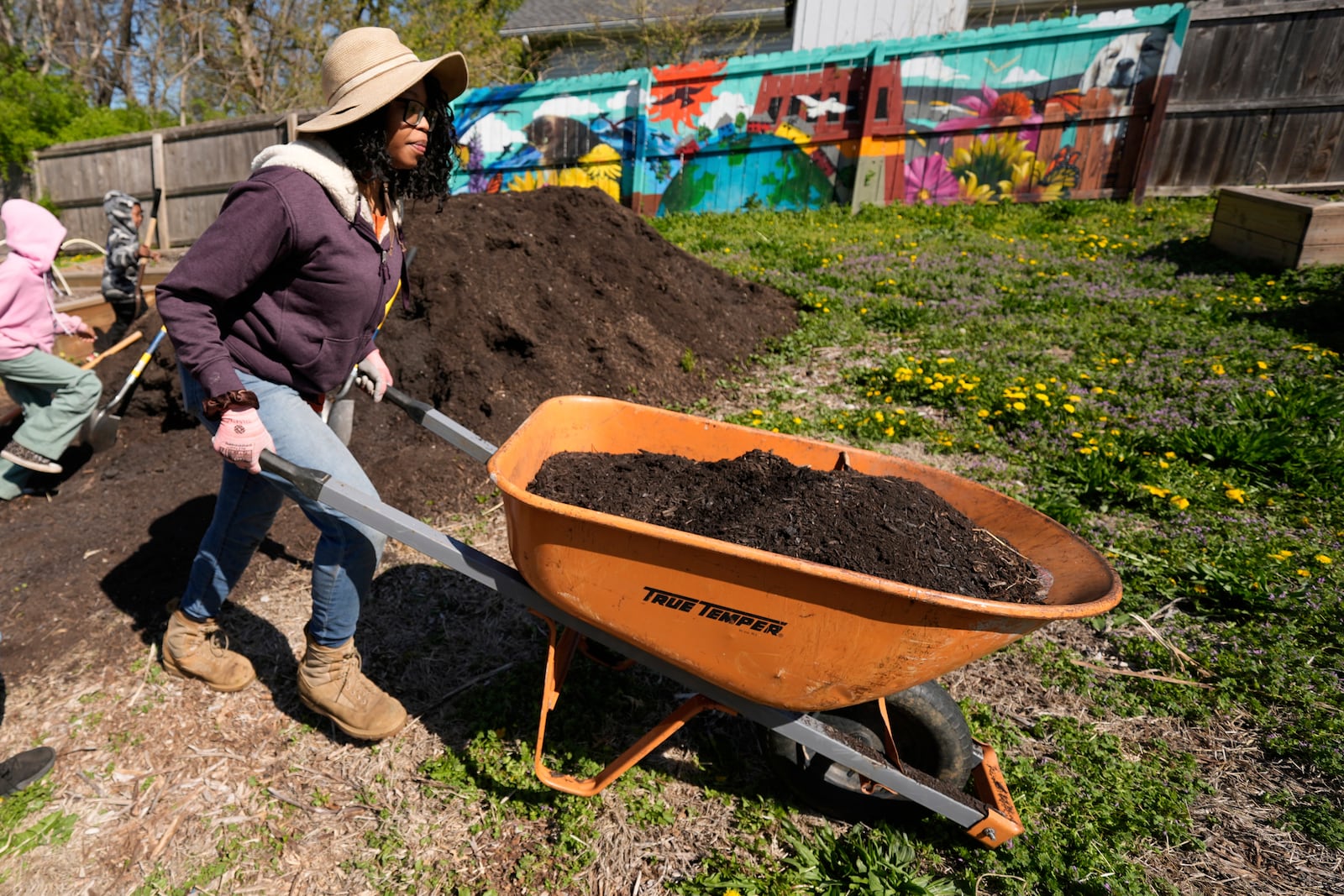 Rosei Warren hauls compost to a garden plot in preparation for planting vegetables at the Ivanhoe neighborhood community garden, Wednesday, April 9, 2025, in Kansas City, Mo. (AP Photo/Charlie Riedel)