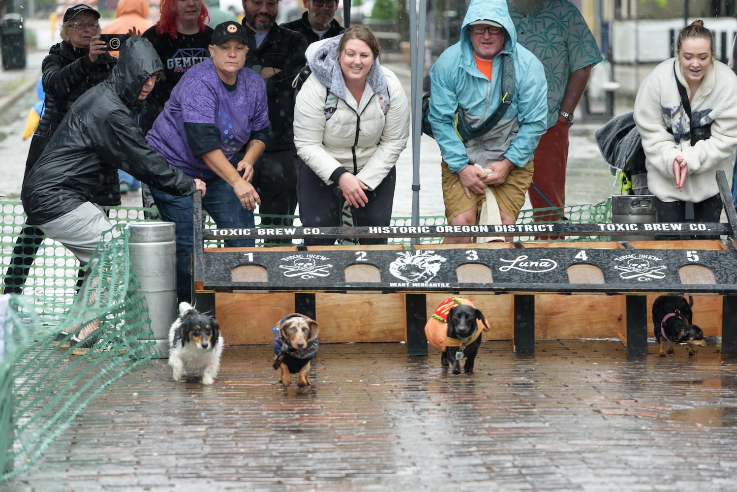 PHOTOS: 2025 Derby Day wiener dog races in the Oregon District
