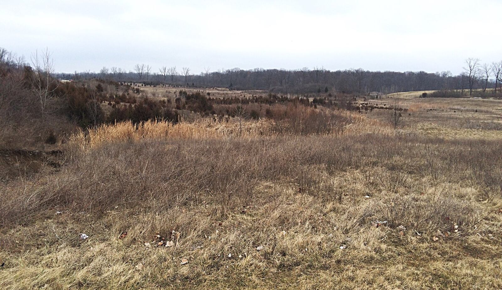 Vandalia council members heard a presentation on Feb. 9 from the Montgomery County Agricultural Society about moving the fairgrounds to a Webster Street site near the county Animal Resource Center. MARSHALL GORBY / STAFF
