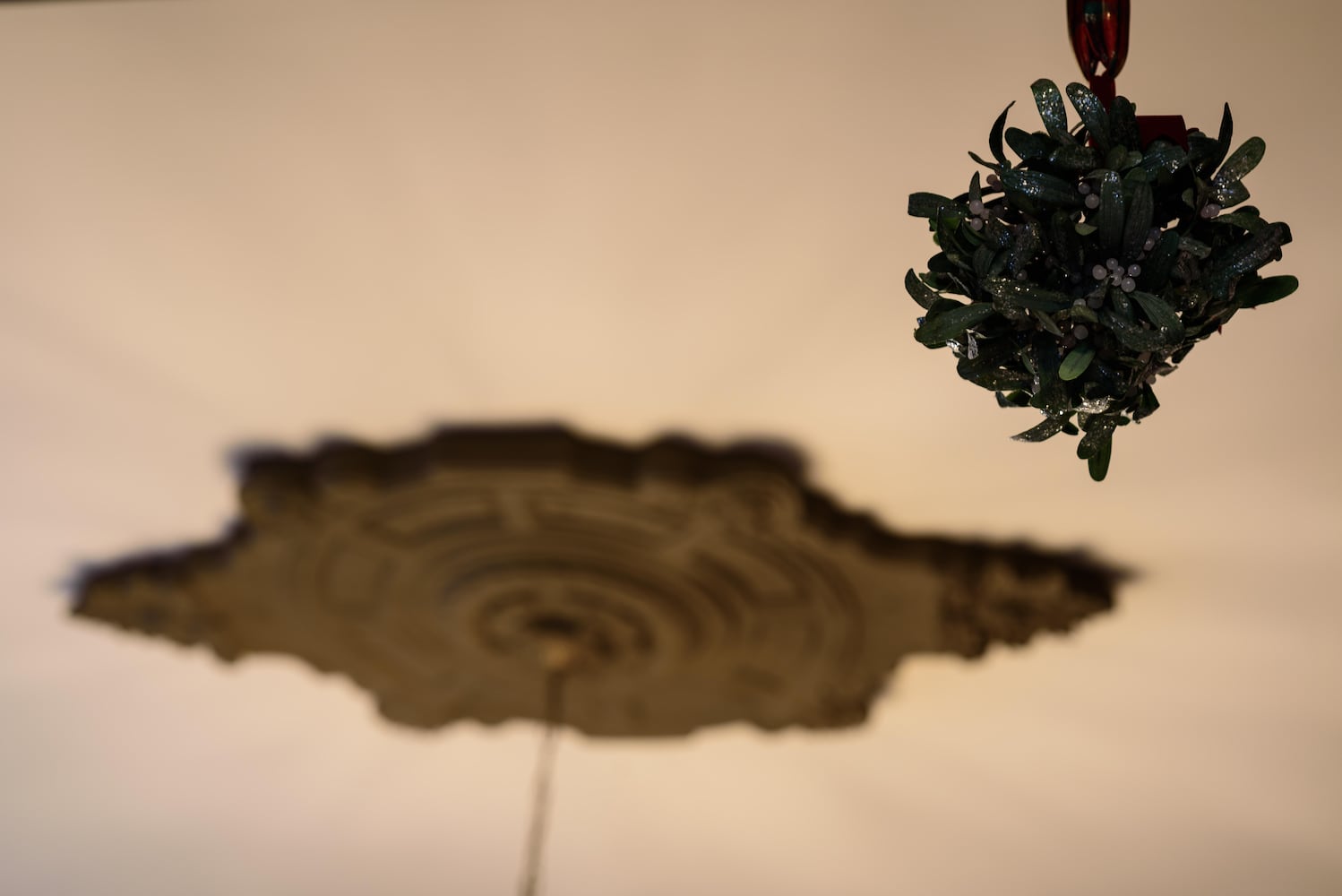 PHOTOS: The Oregon Historic District’s Virtual Grand Holiday Tour of Homes