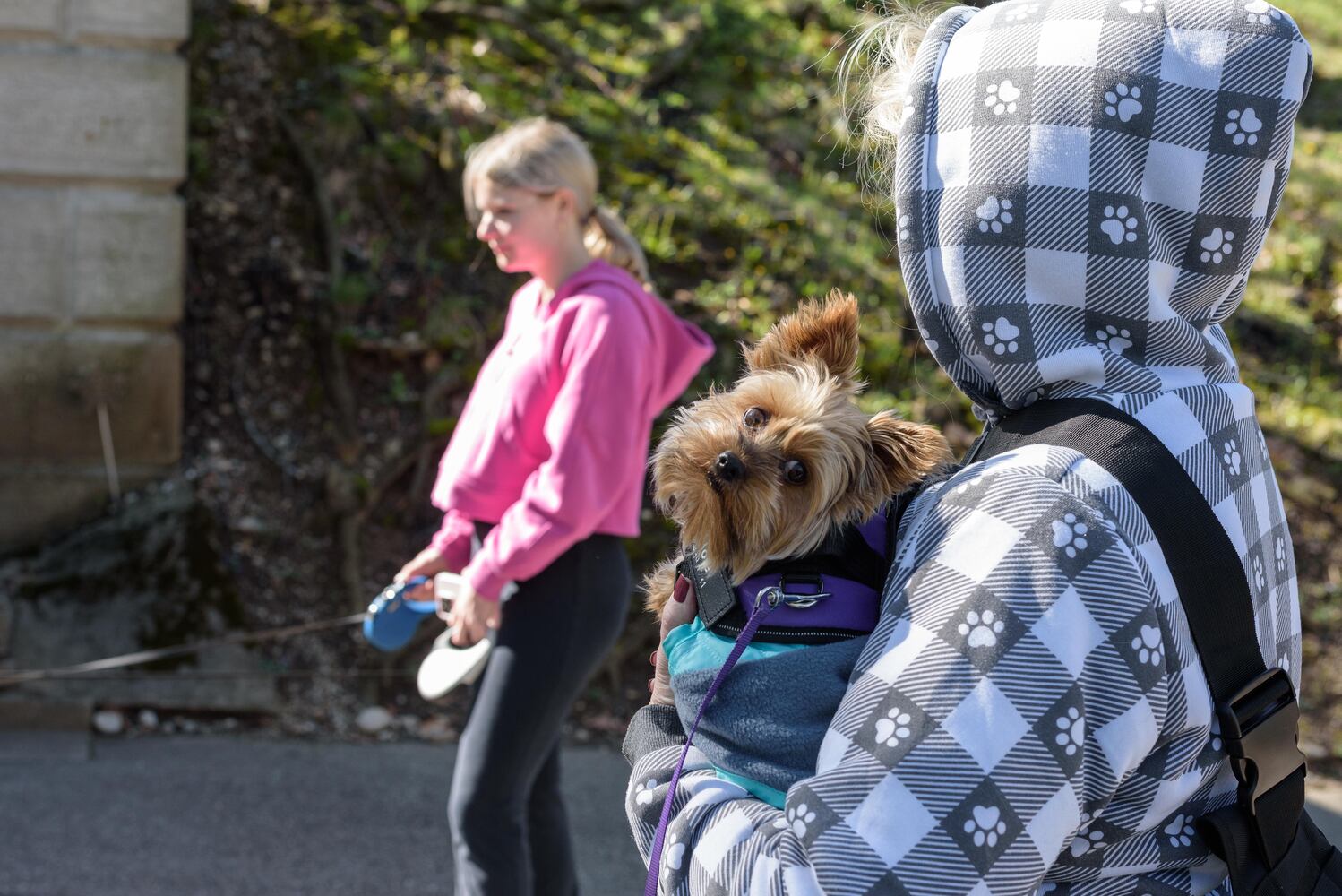 PHOTOS: Woof Walk at Woodland Cemetery & Arboretum